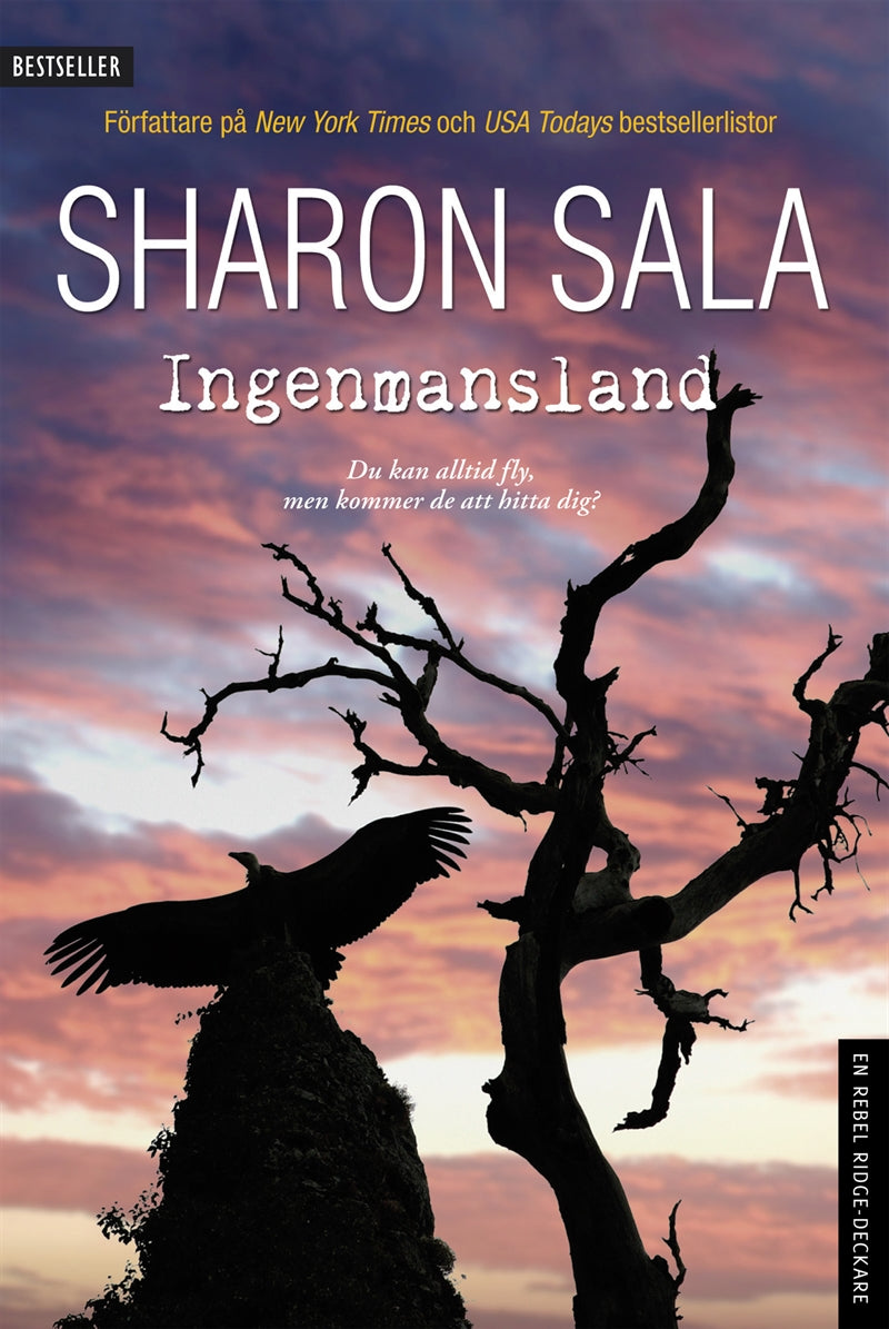 Ingenmansland – E-bok