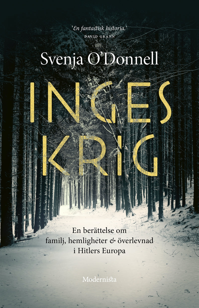 Inges krig – E-bok