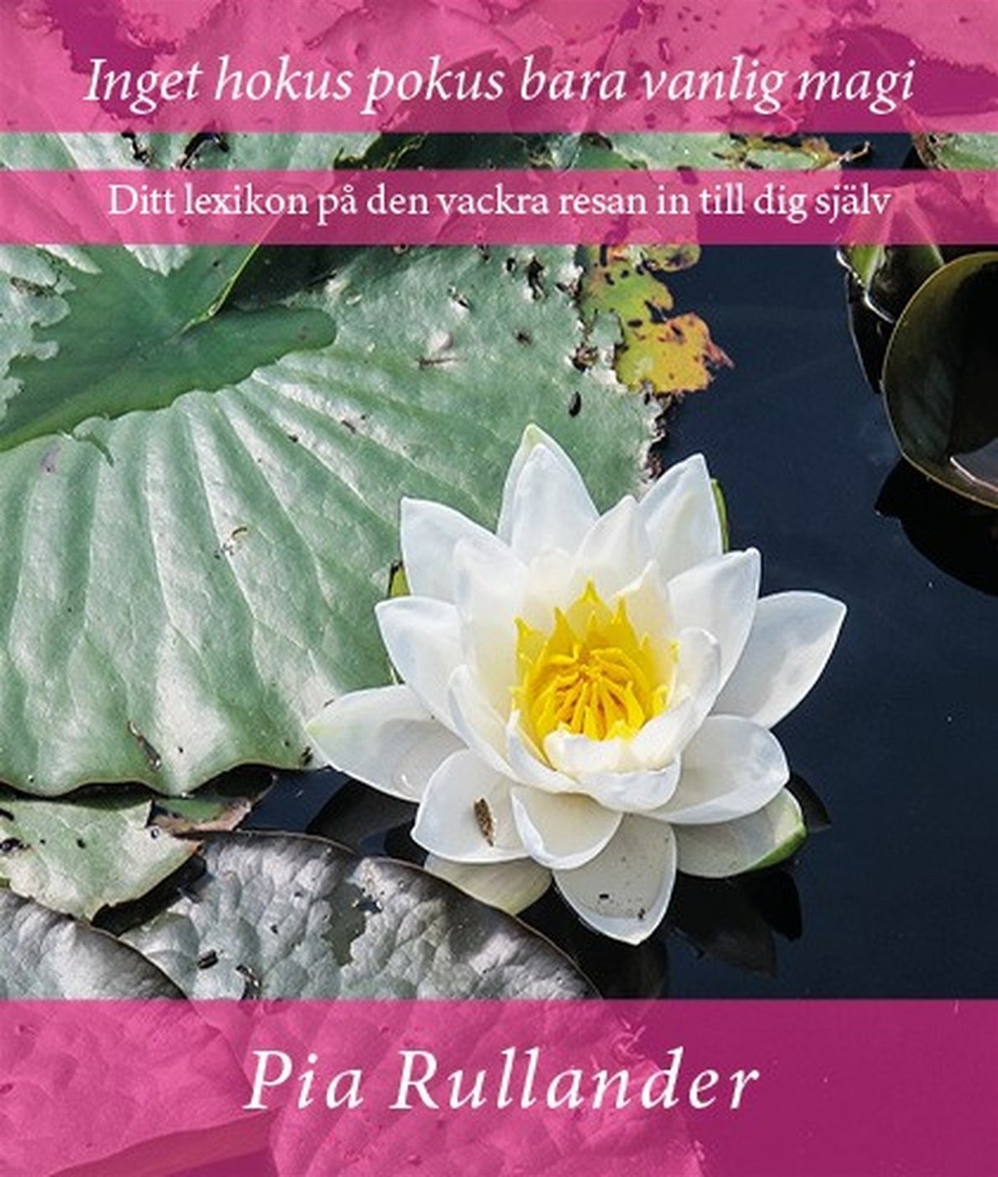Inget hokus pokus bara vanlig magi. Ditt lexikon på den vackra resan in till dig själv. – Ljudbok