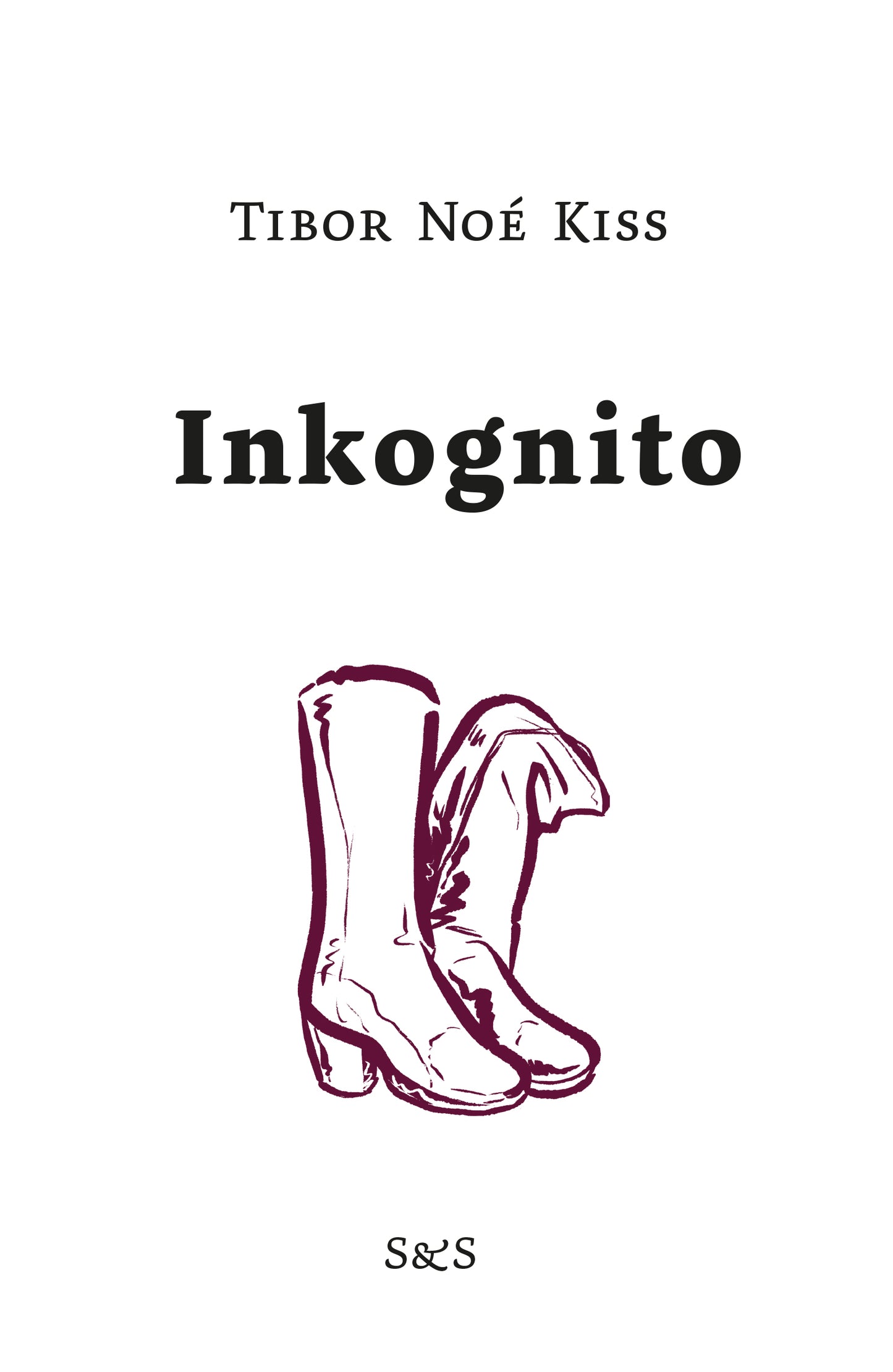 Inkognito – E-bok