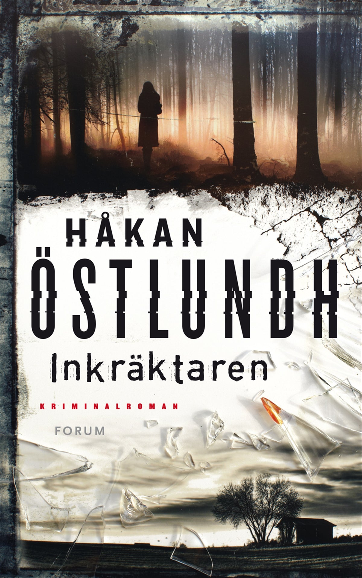 Inkräktaren – E-bok