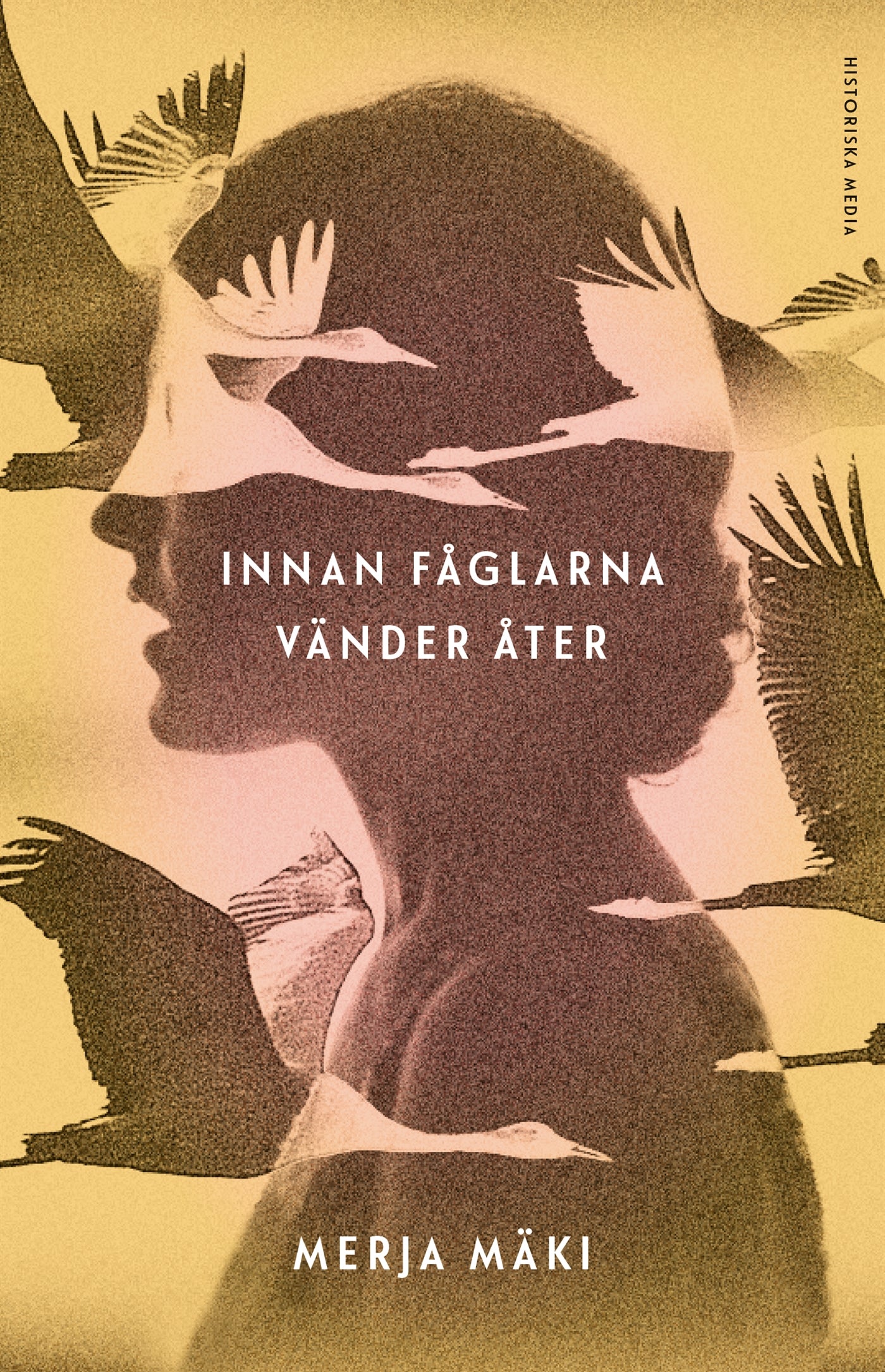 Innan fåglarna vänder åter – E-bok