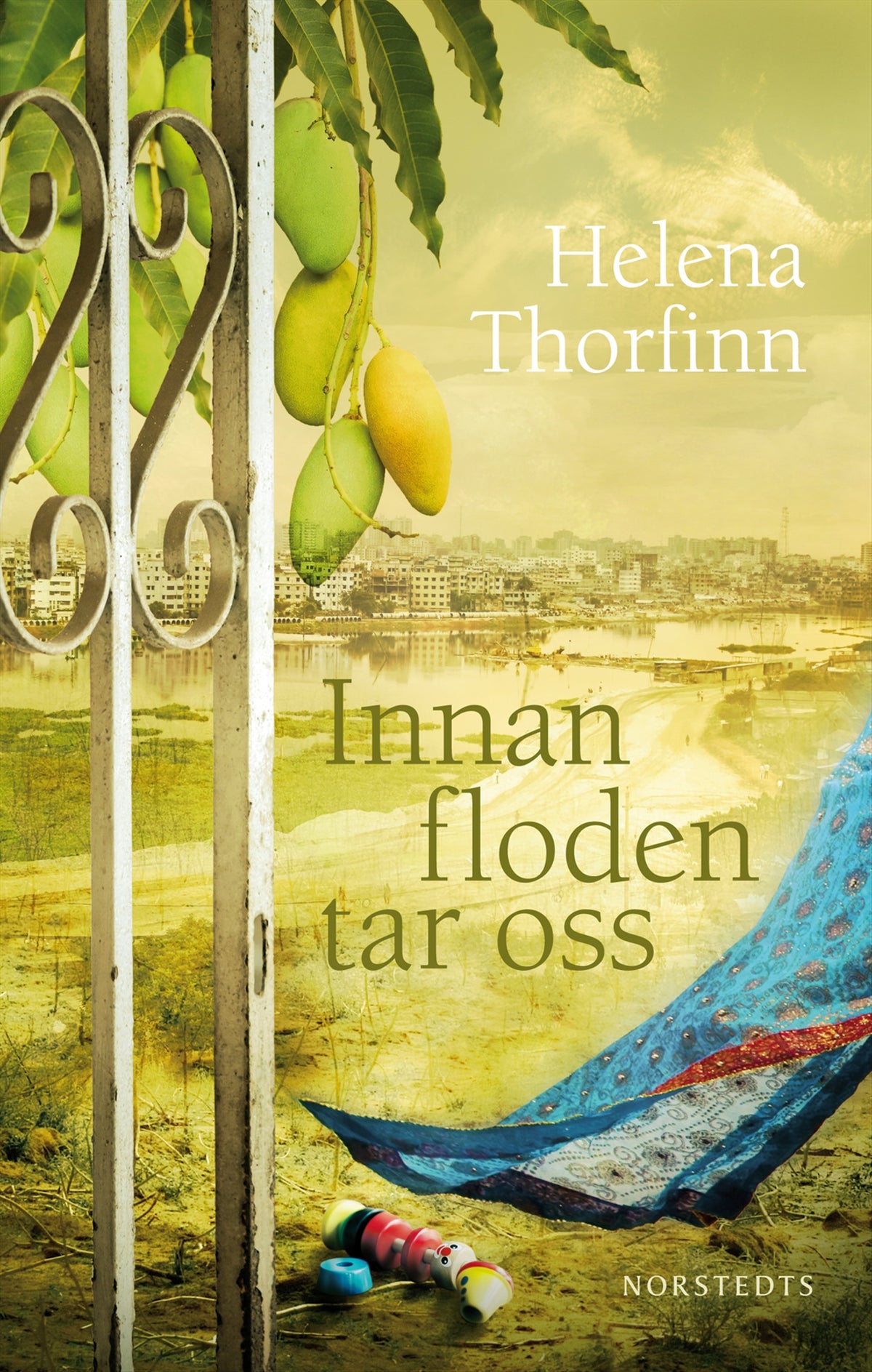 Innan floden tar oss – E-bok