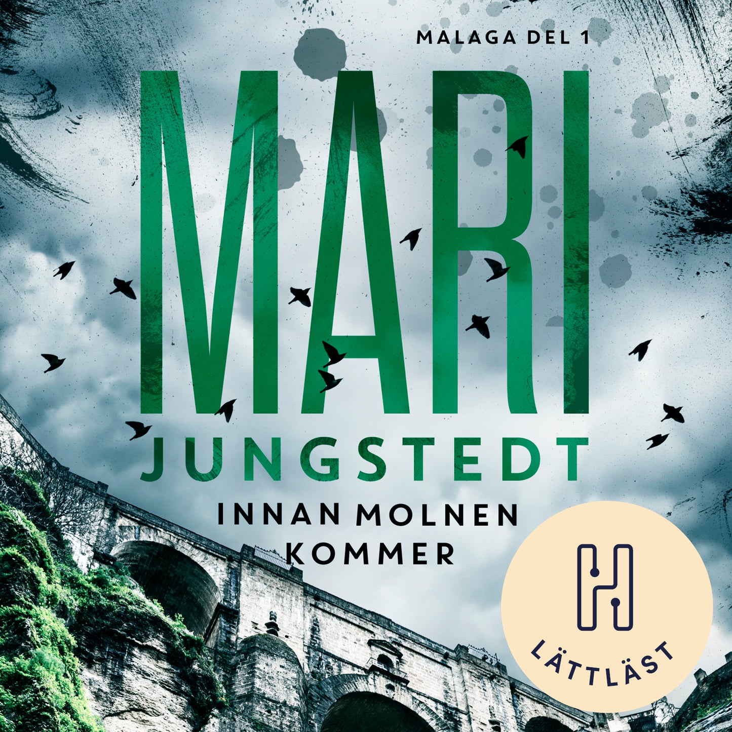 Innan molnen kommer (lättläst) – Ljudbok