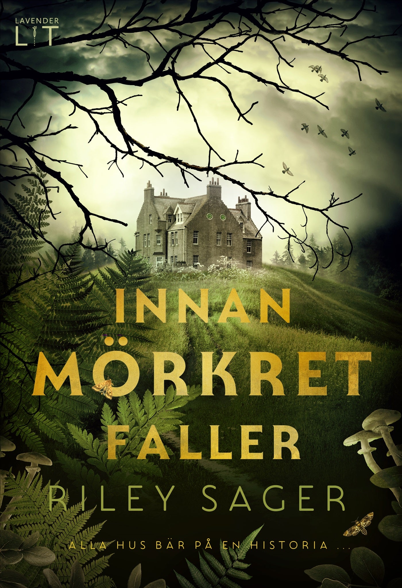 Innan mörkret faller – E-bok