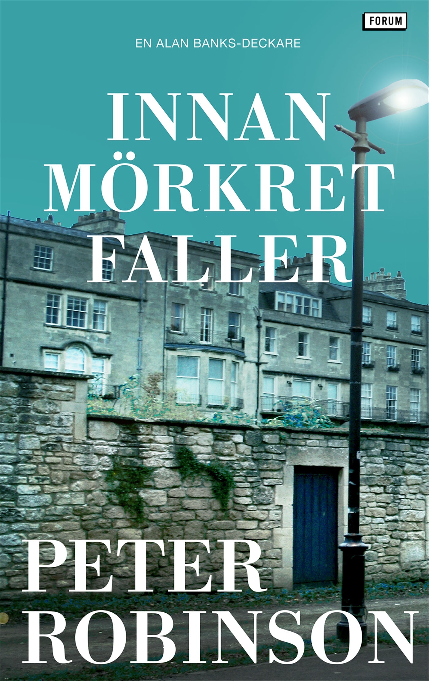 Innan mörkret faller – E-bok