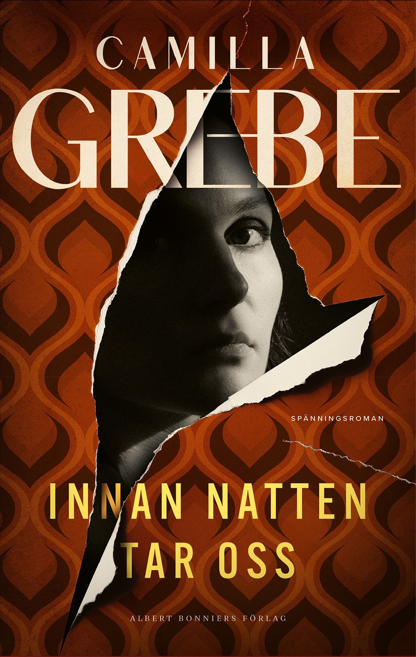 Innan natten tar oss – E-bok