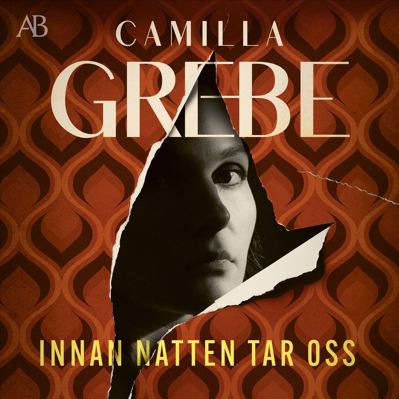 Innan natten tar oss – Ljudbok