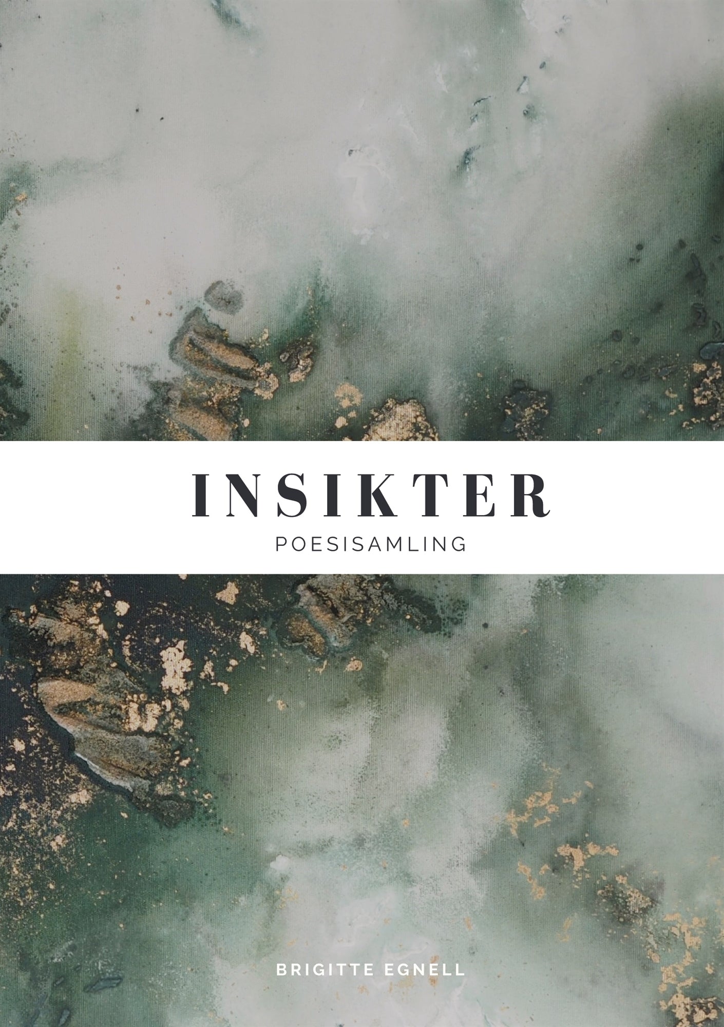 Insikter: Poesisamling – E-bok