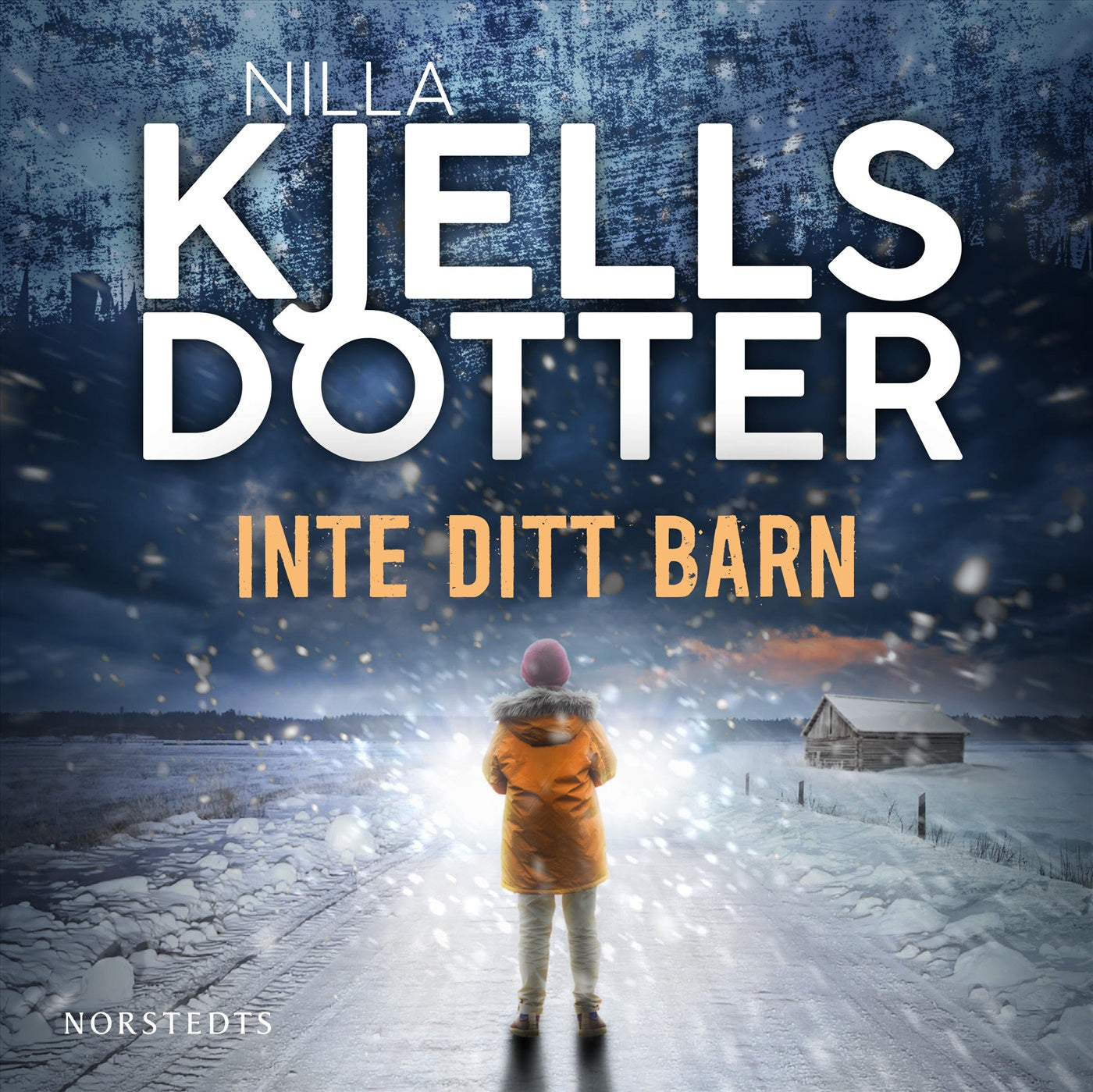 Inte ditt barn – Ljudbok