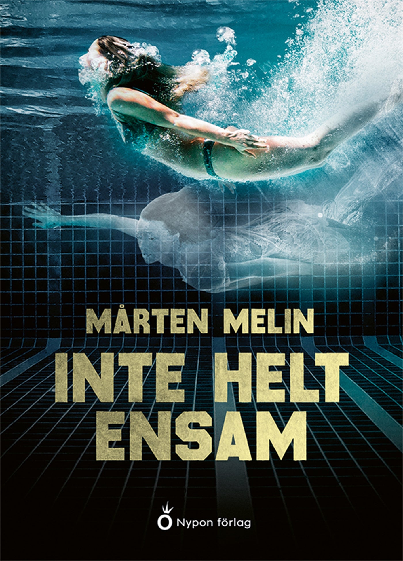 Inte helt ensam – E-bok