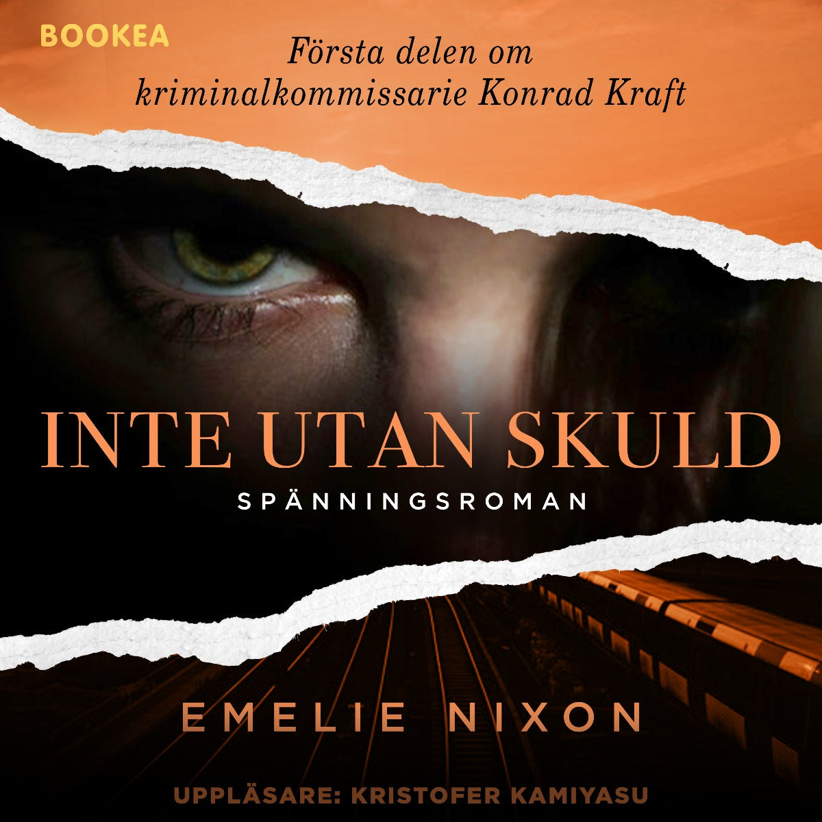 Inte utan skuld – Ljudbok