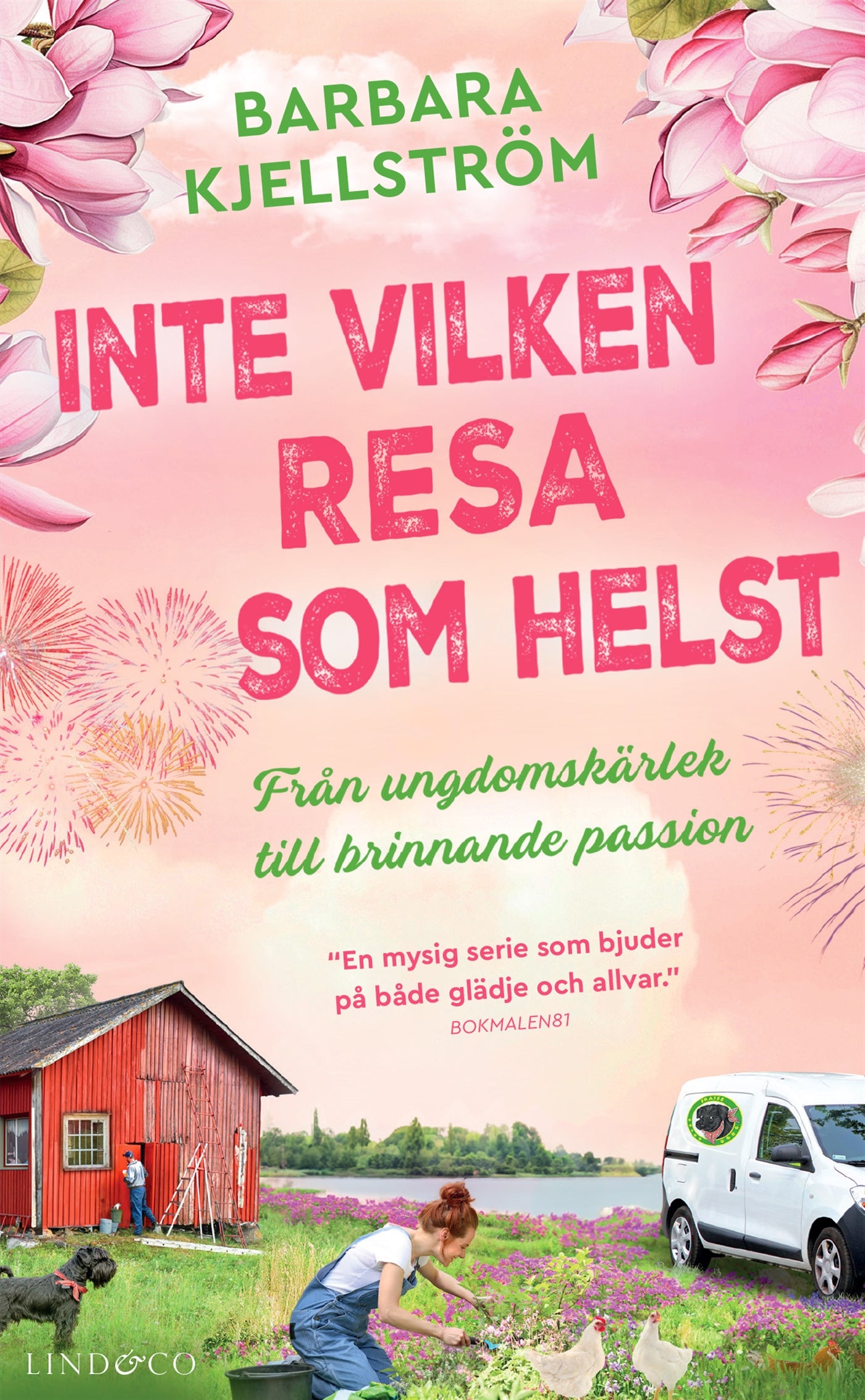 Inte vilken resa som helst : Från ungdomskärlek till brinnande passion – E-bok