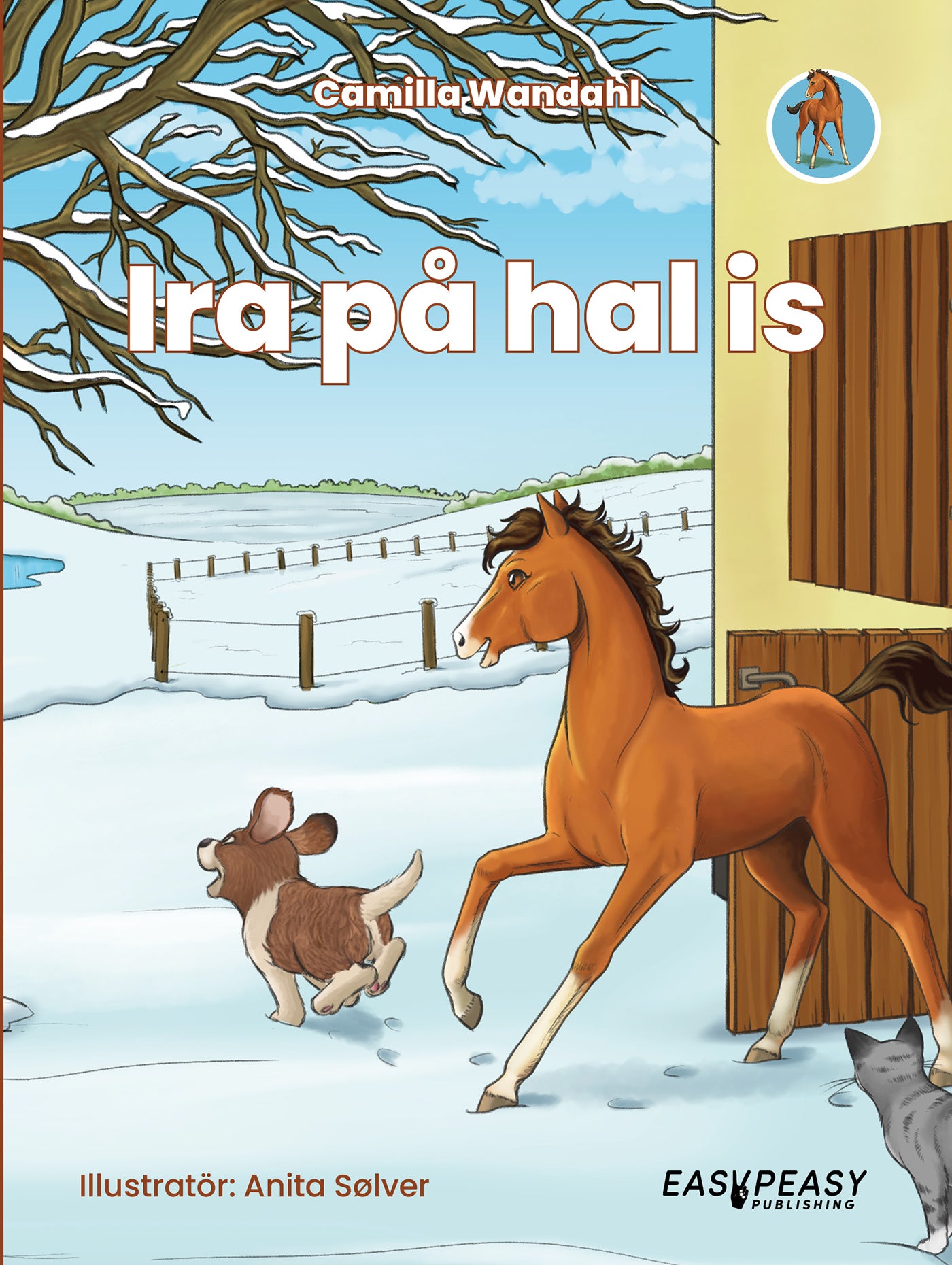Ira på hal is – E-bok