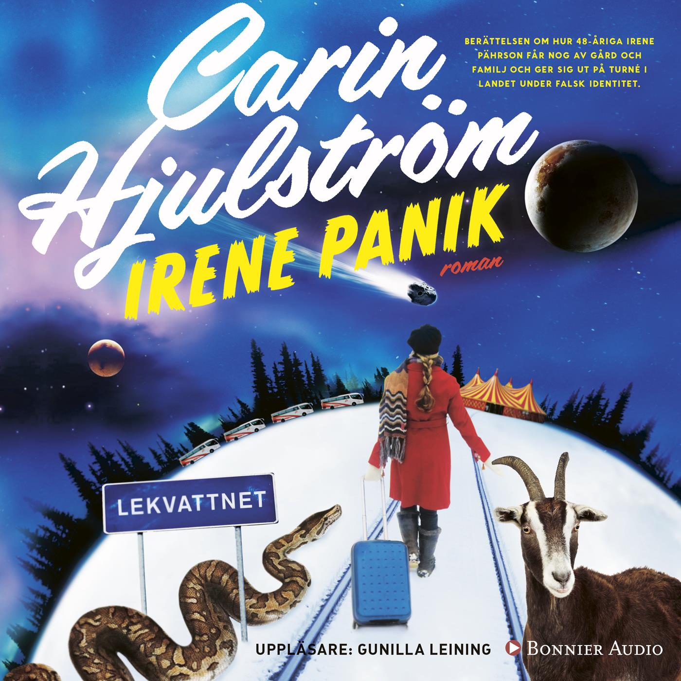 Irene Panik – Ljudbok