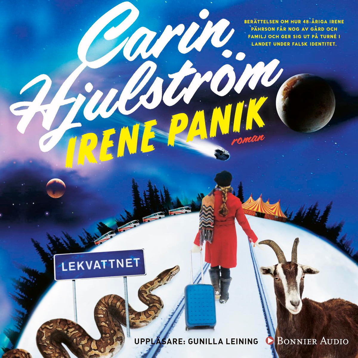 Irene Panik – Ljudbok