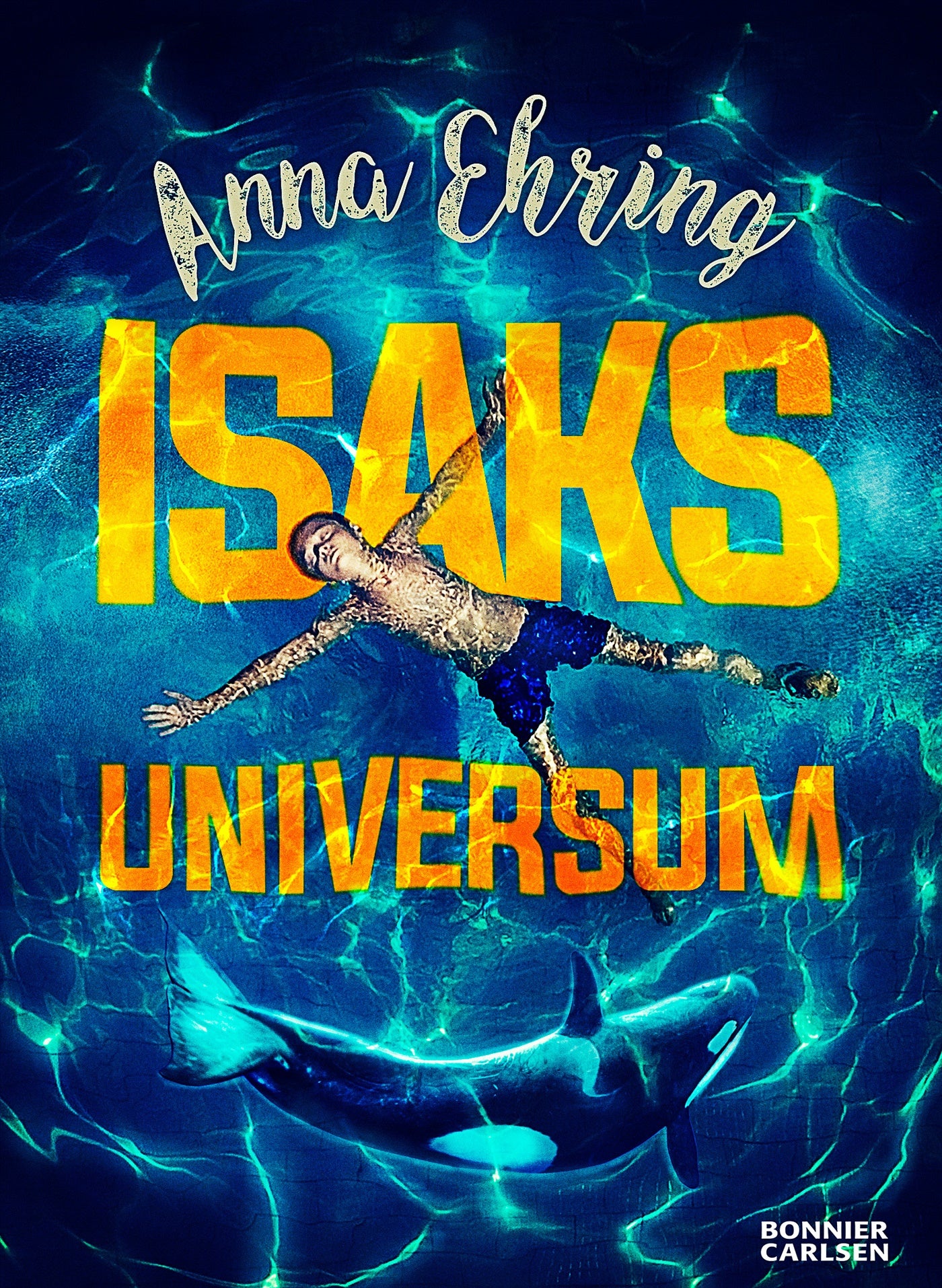 Isaks universum – E-bok