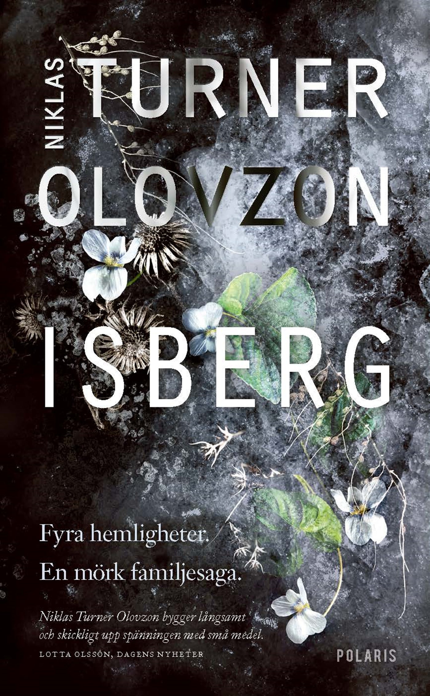 Isberg – E-bok