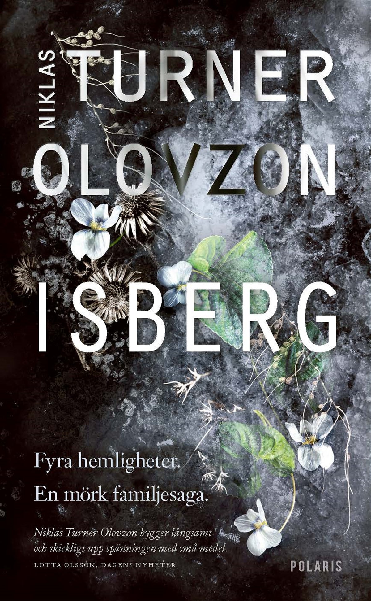Isberg – E-bok