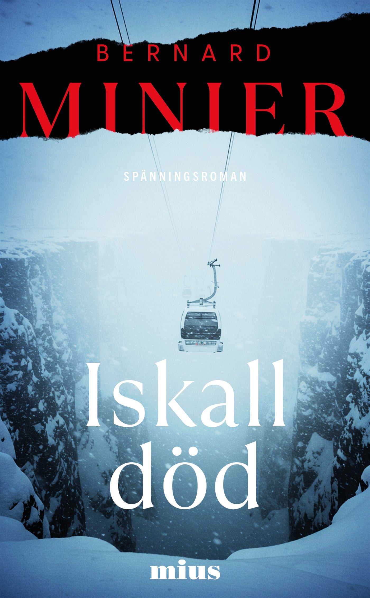Iskall död – E-bok