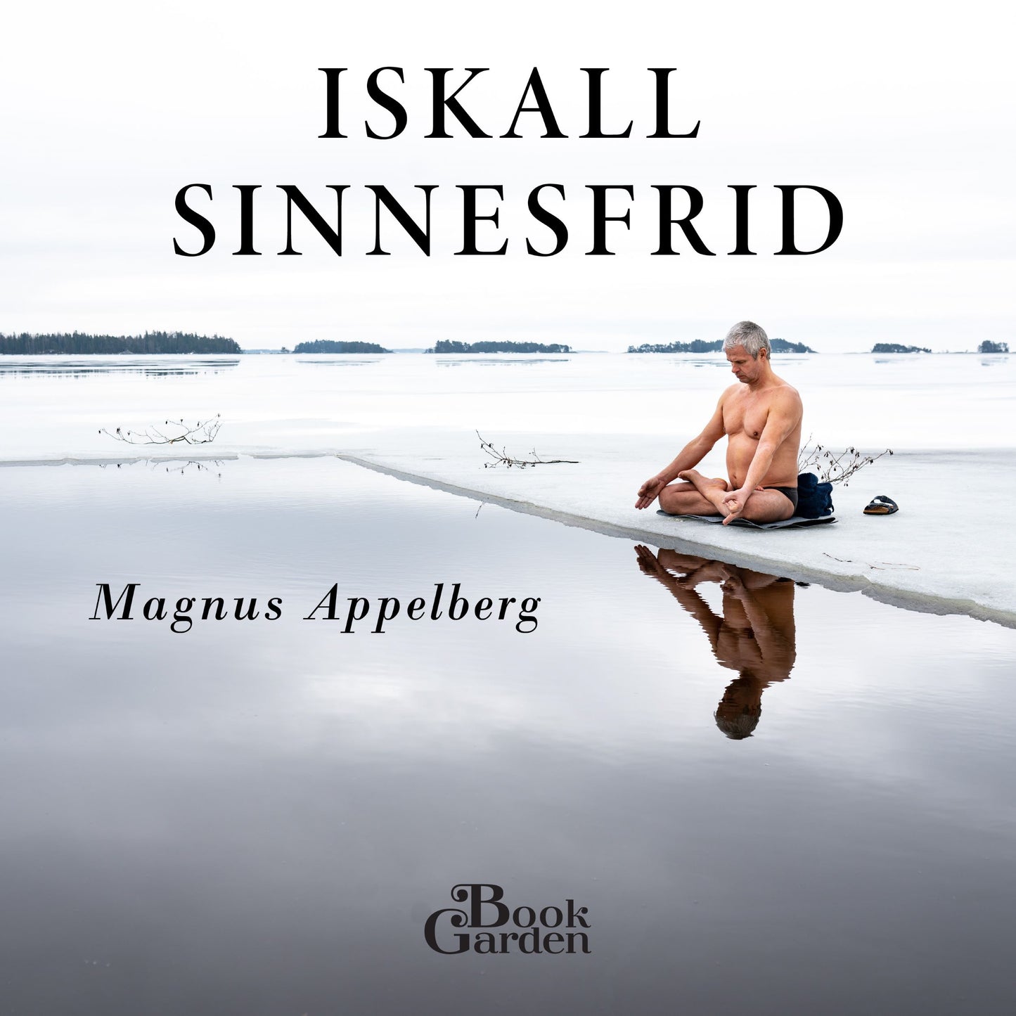 Iskall sinnesfrid – Ljudbok