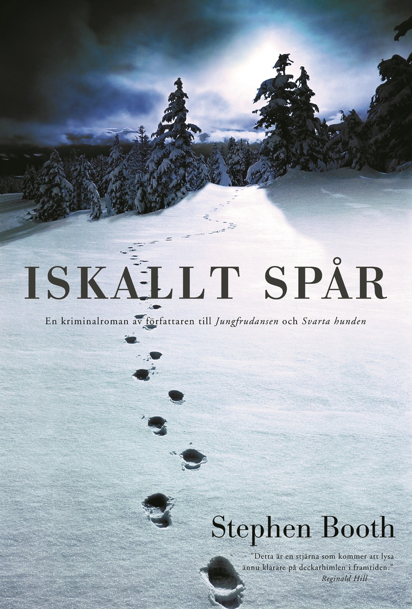 Iskallt spår – E-bok