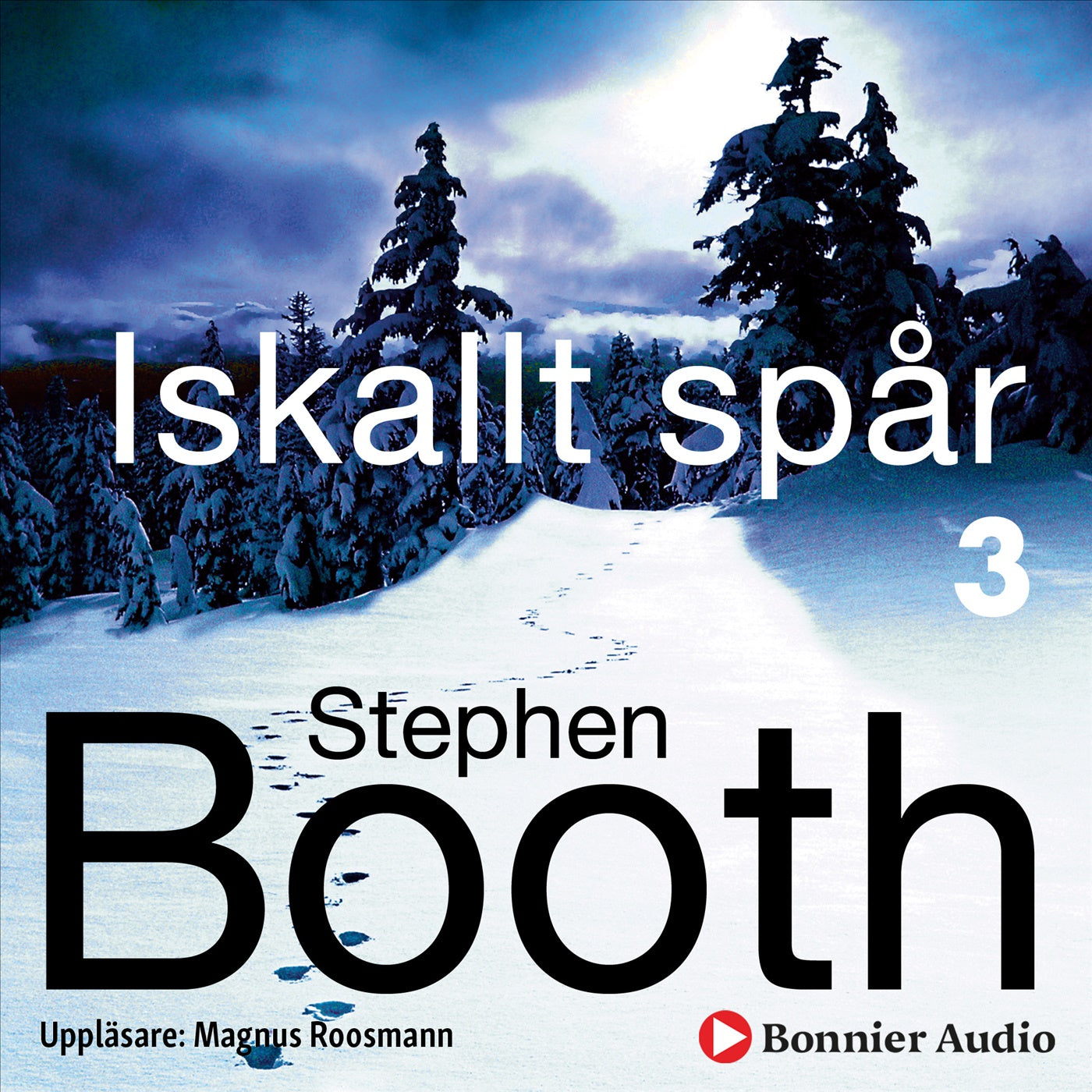 Iskallt spår – Ljudbok