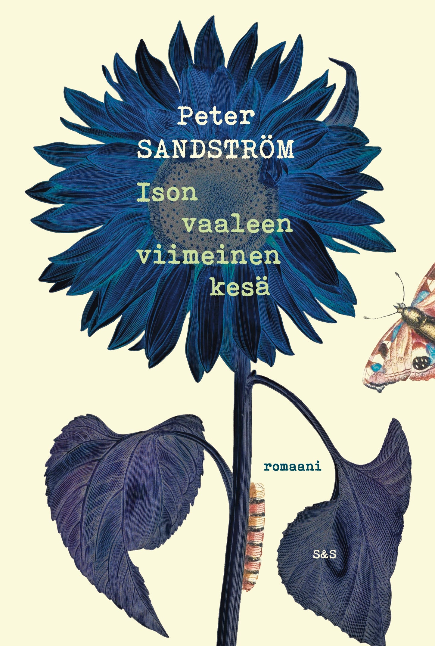 Ison vaaleen viimeinen kesä – E-bok
