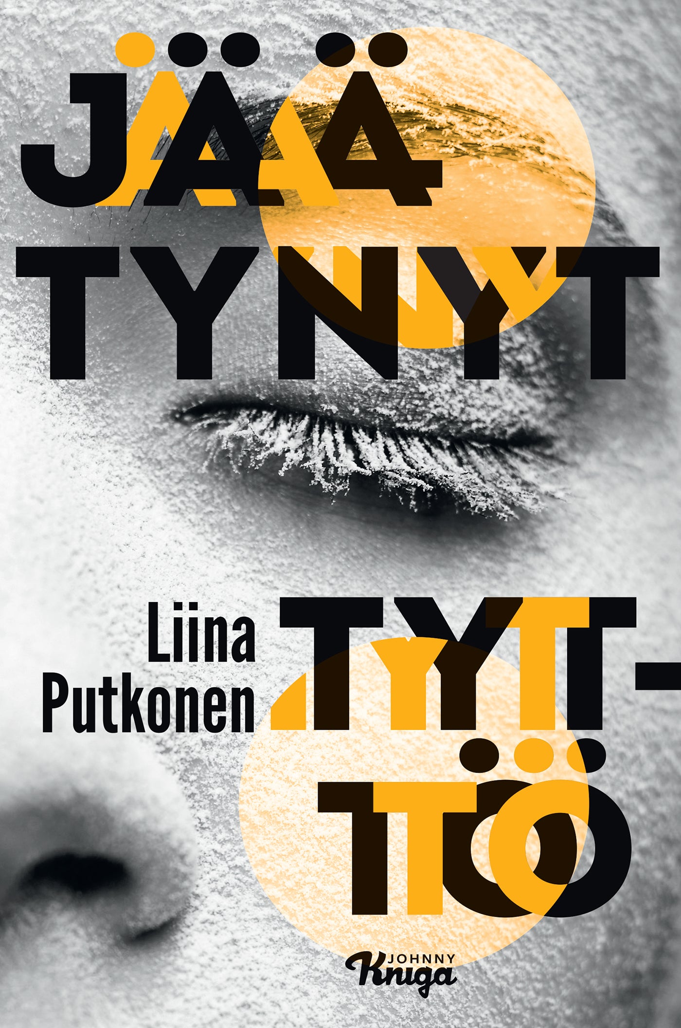 Jäätynyt tyttö – E-bok