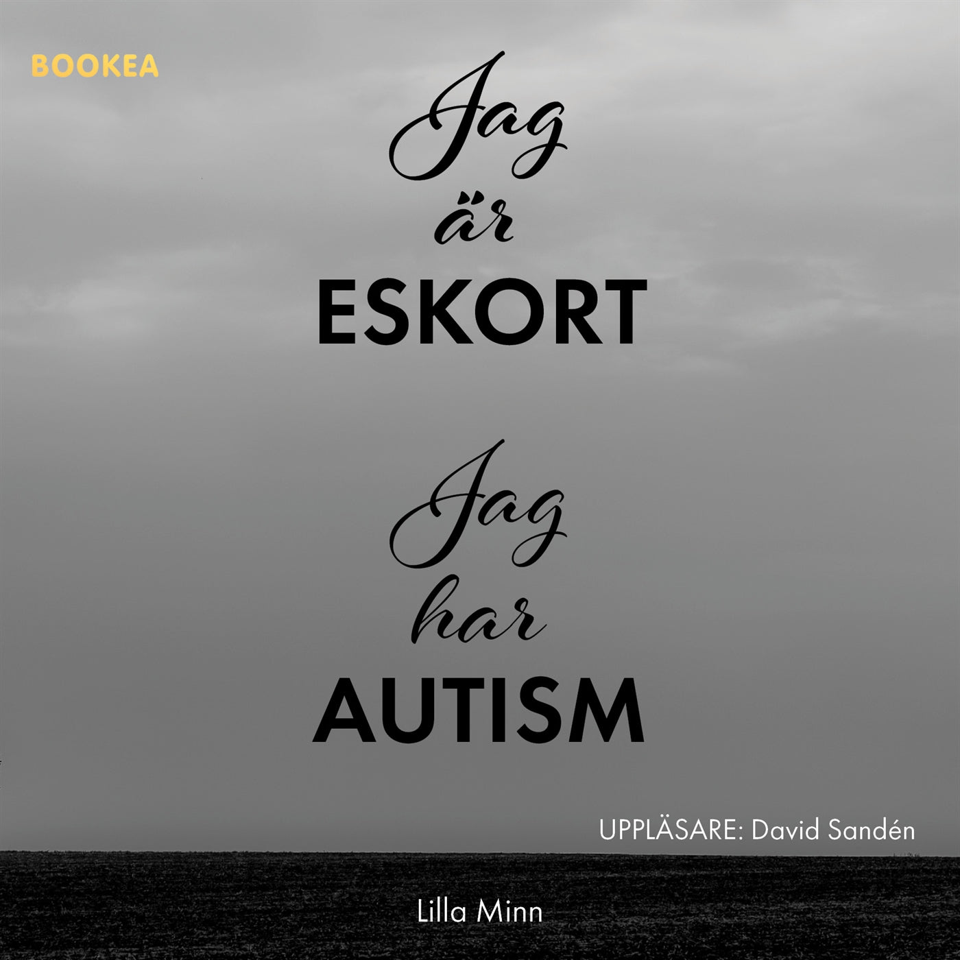 Jag är eskort, jag har autism – Ljudbok