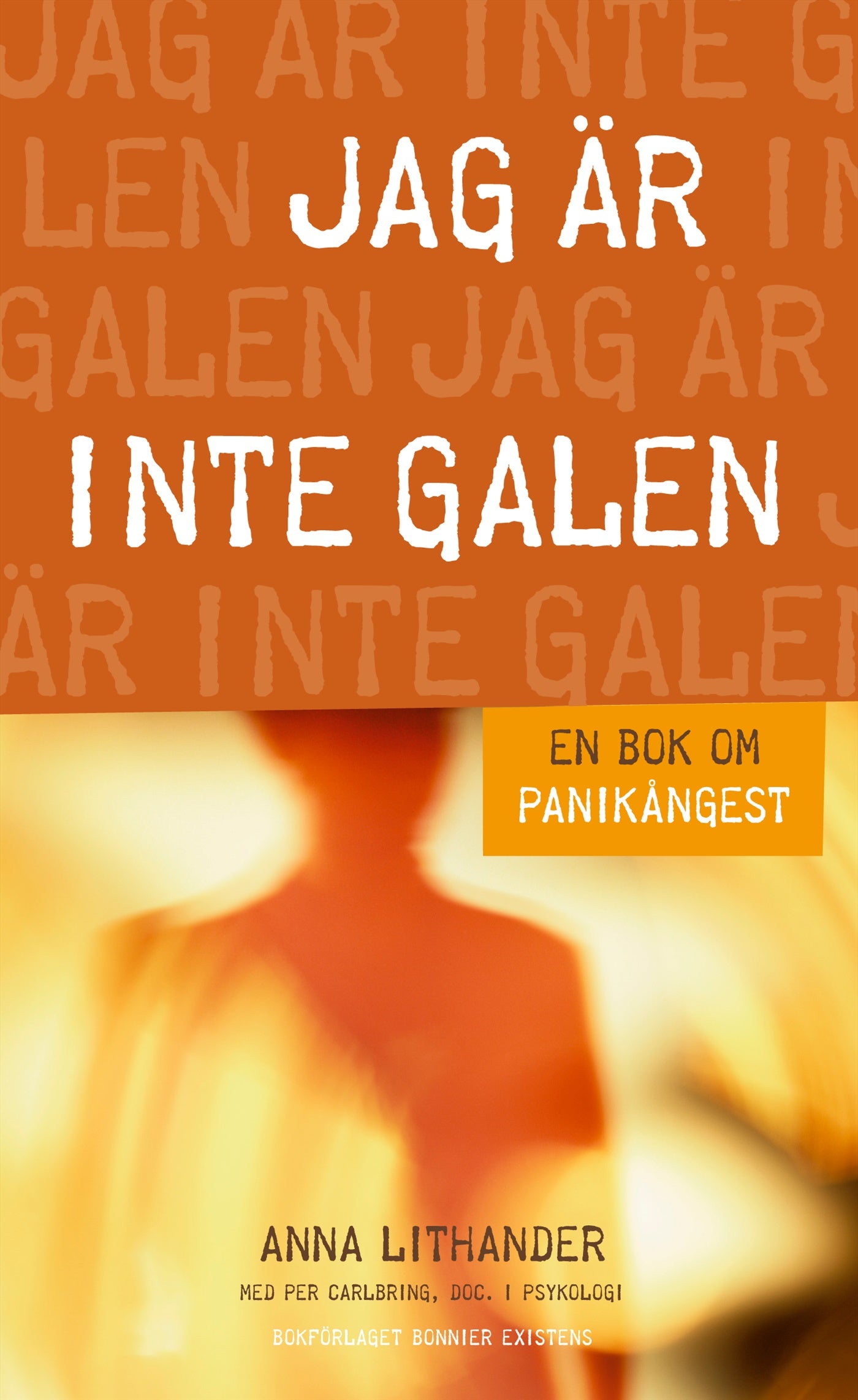 Jag är inte galen : En bok om panikångest – E-bok