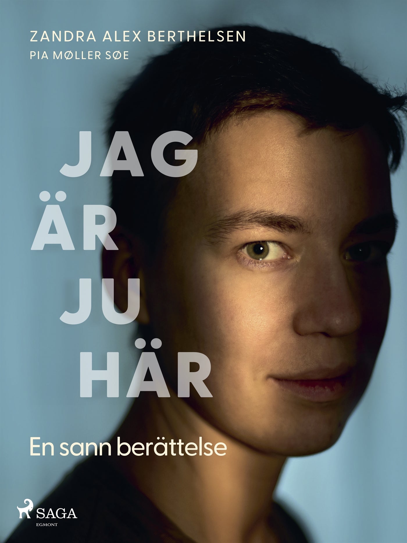 Jag är ju här: En sann berättelse – E-bok