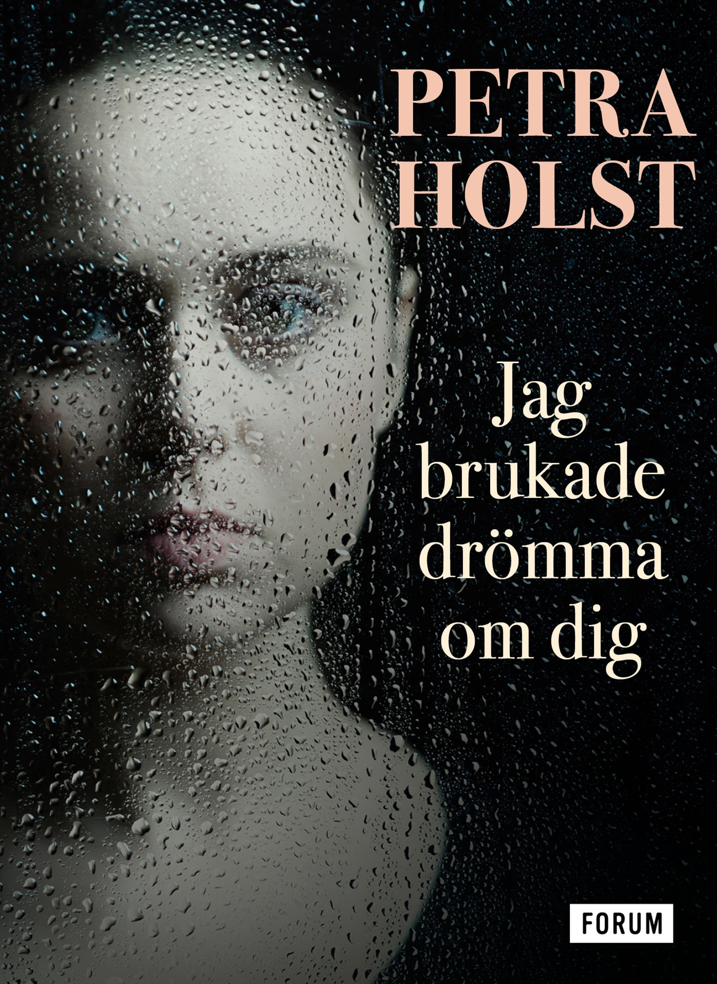 Jag brukade drömma om dig – E-bok
