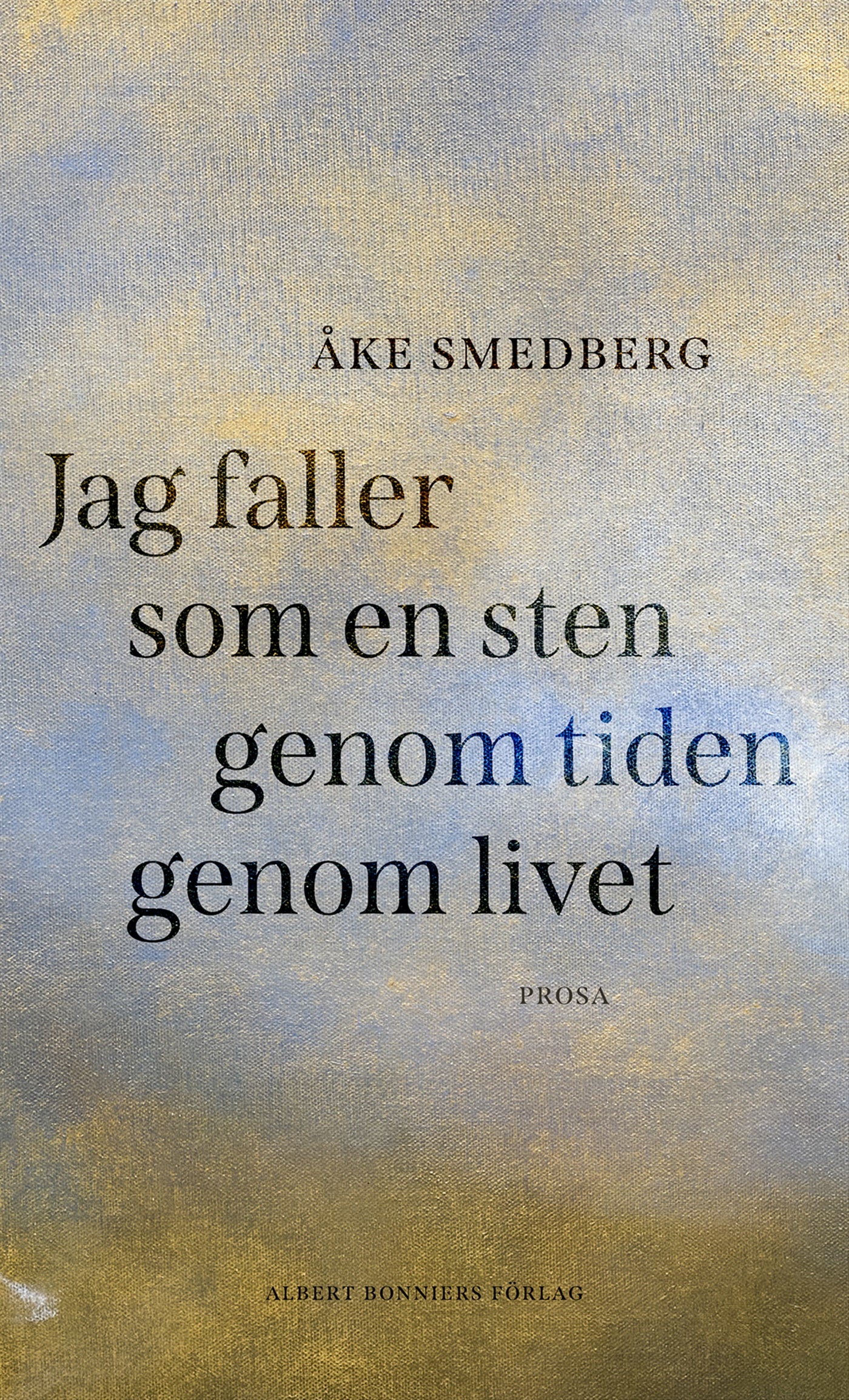 Jag faller som en sten genom tiden genom livet – E-bok