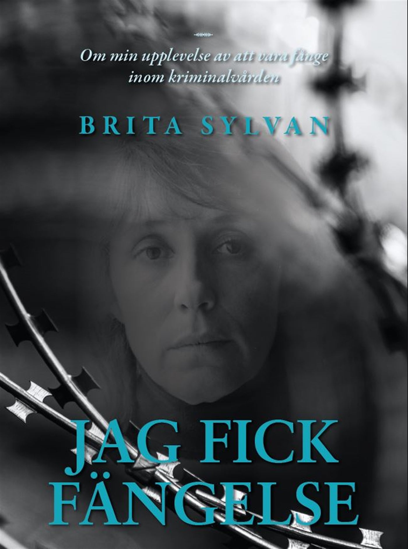 Jag fick fängelse – E-bok