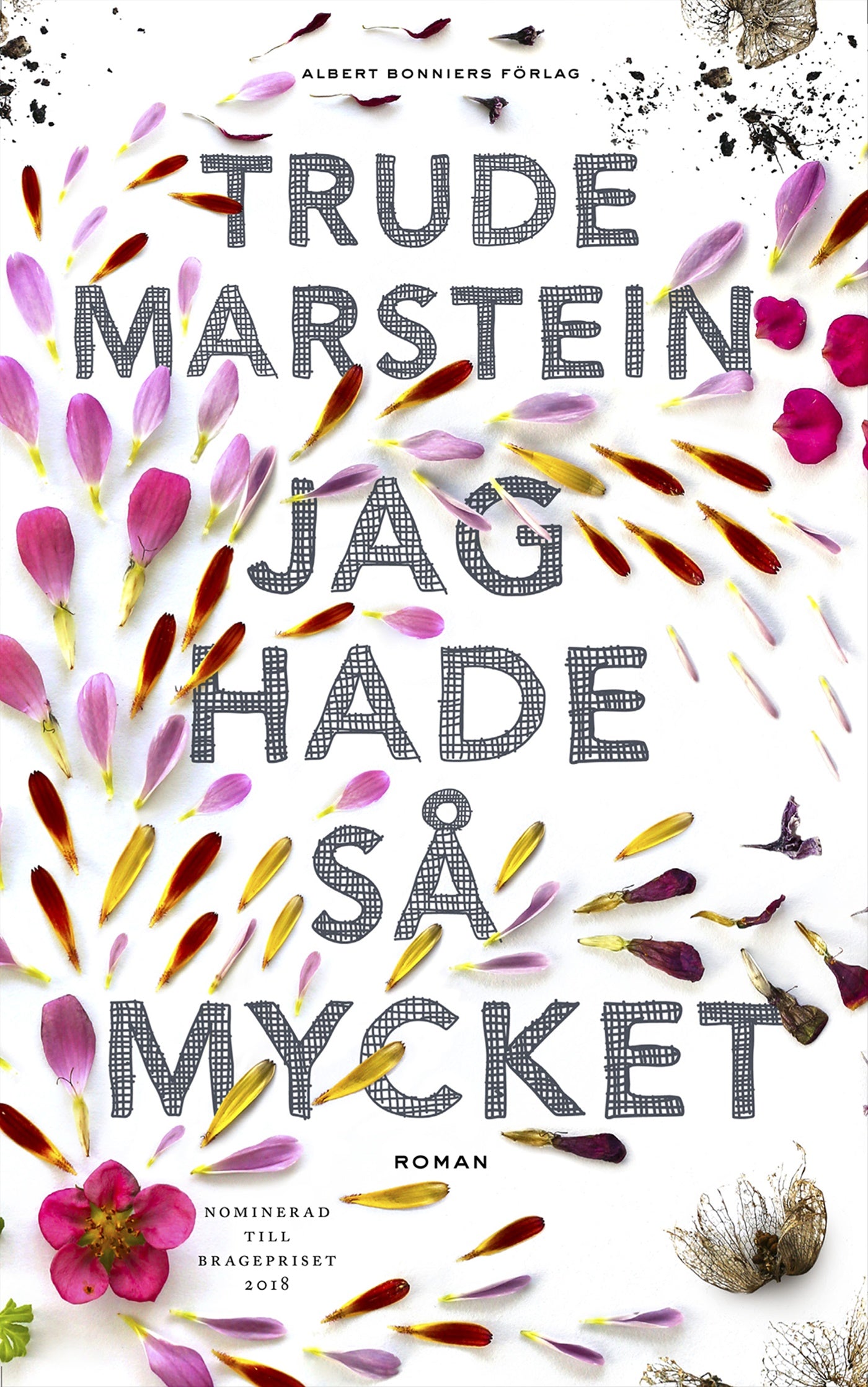 Jag hade så mycket – E-bok