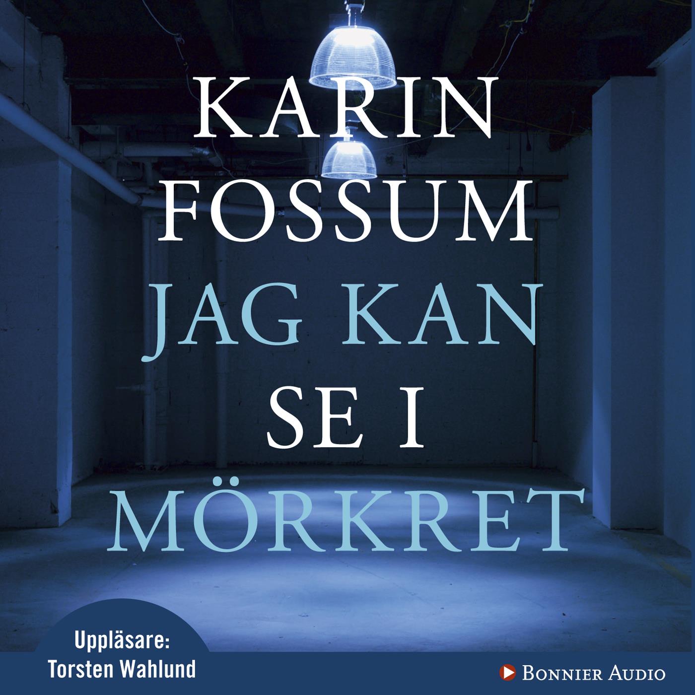 Jag kan se i mörkret – Ljudbok