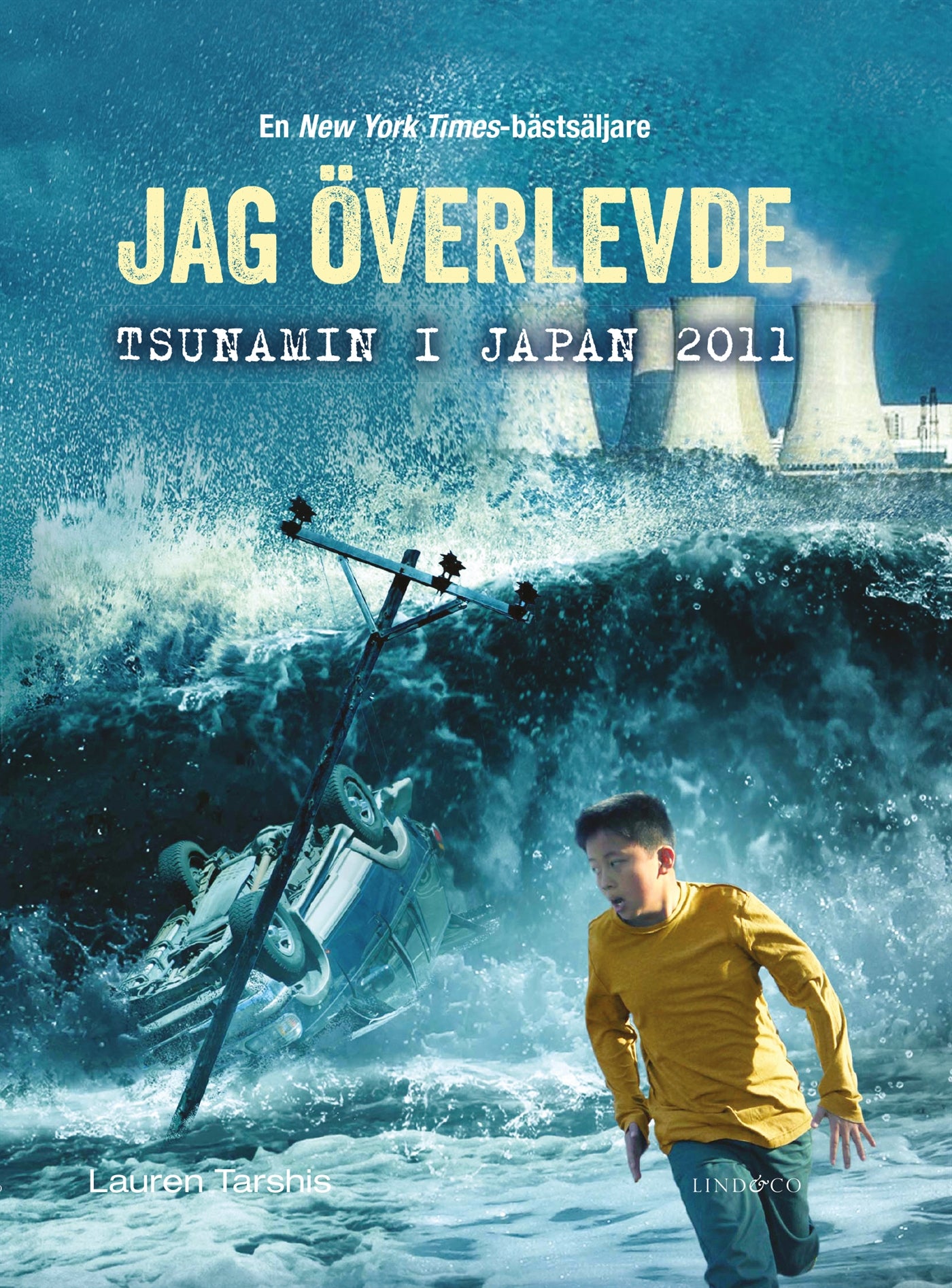 Jag överlevde tsunamin i Japan 2011 – E-bok