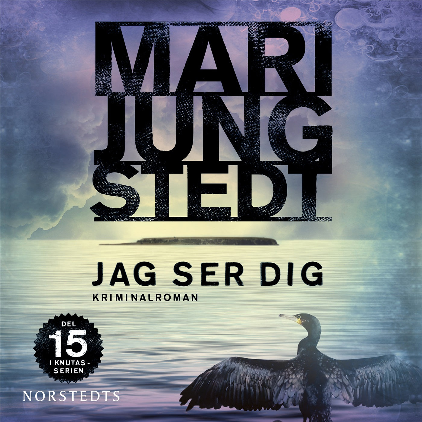 Jag ser dig – Ljudbok