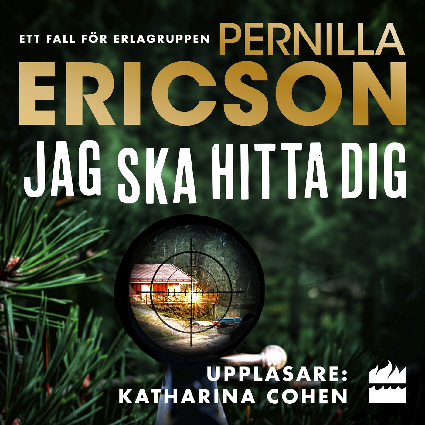 Jag ska hitta dig – Ljudbok