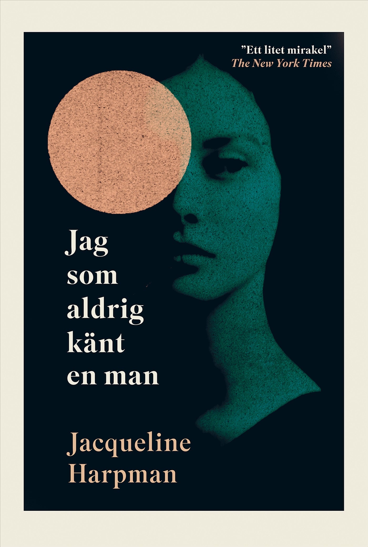 Jag som aldrig känt en man – E-bok
