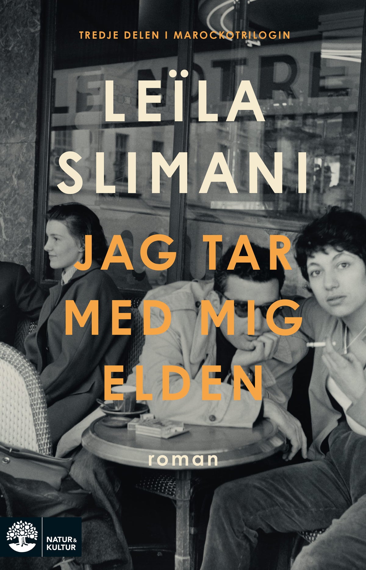 Jag tar med mig elden – E-bok