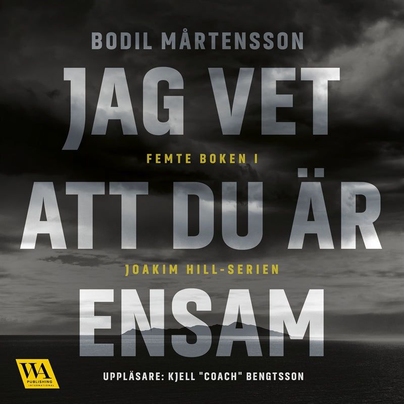 Jag vet att du är ensam – Ljudbok
