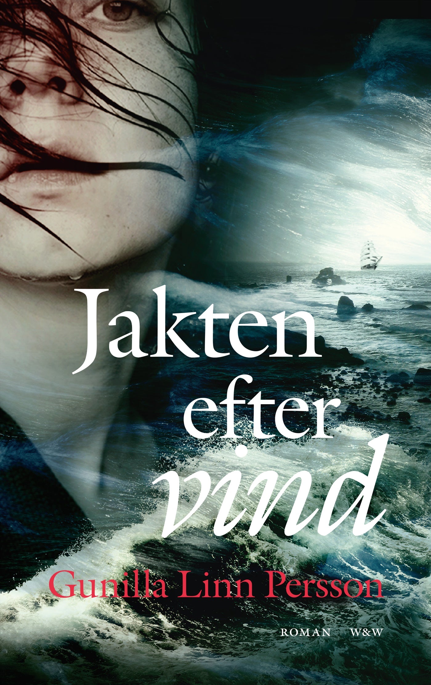 Jakten efter vind – E-bok