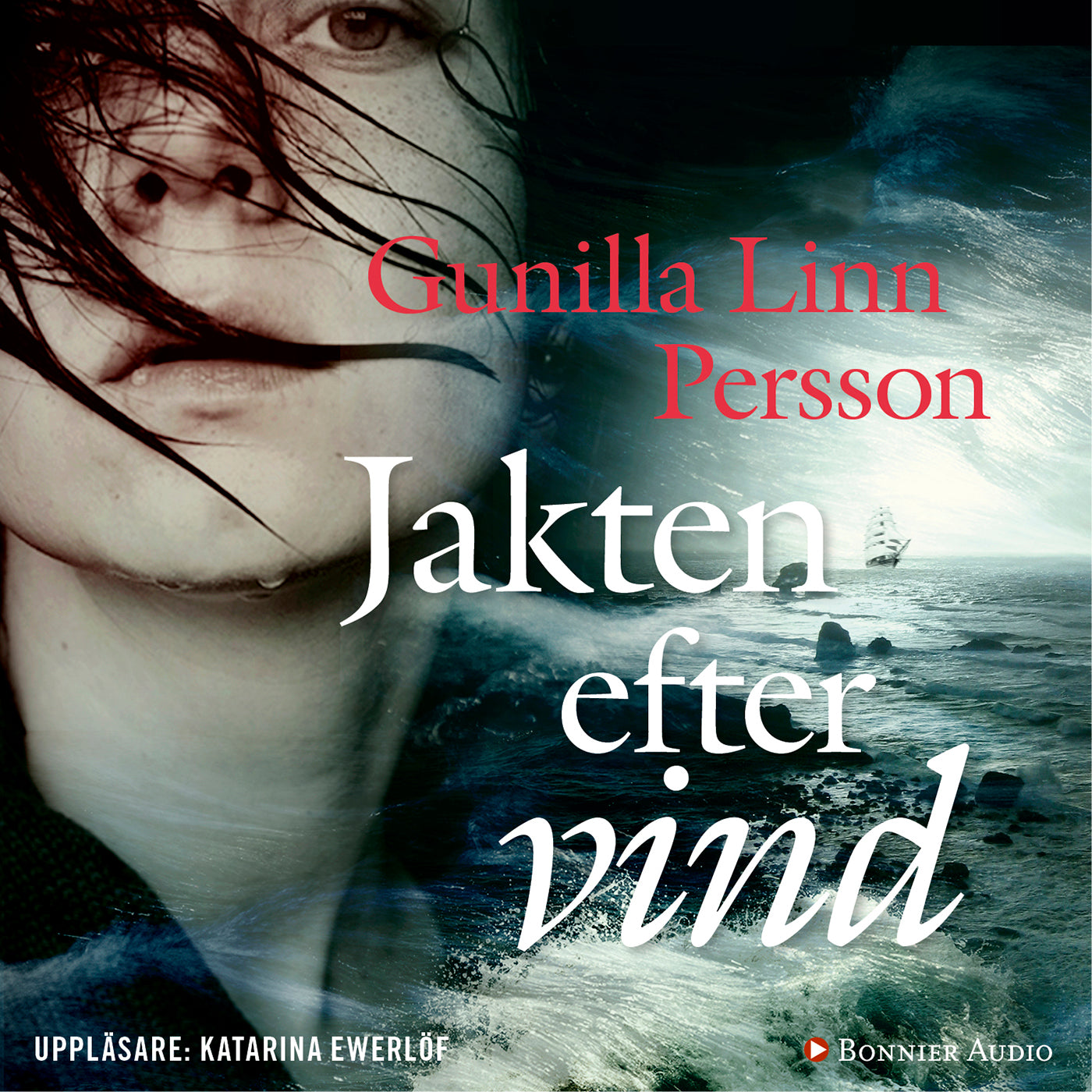 Jakten efter vind – Ljudbok