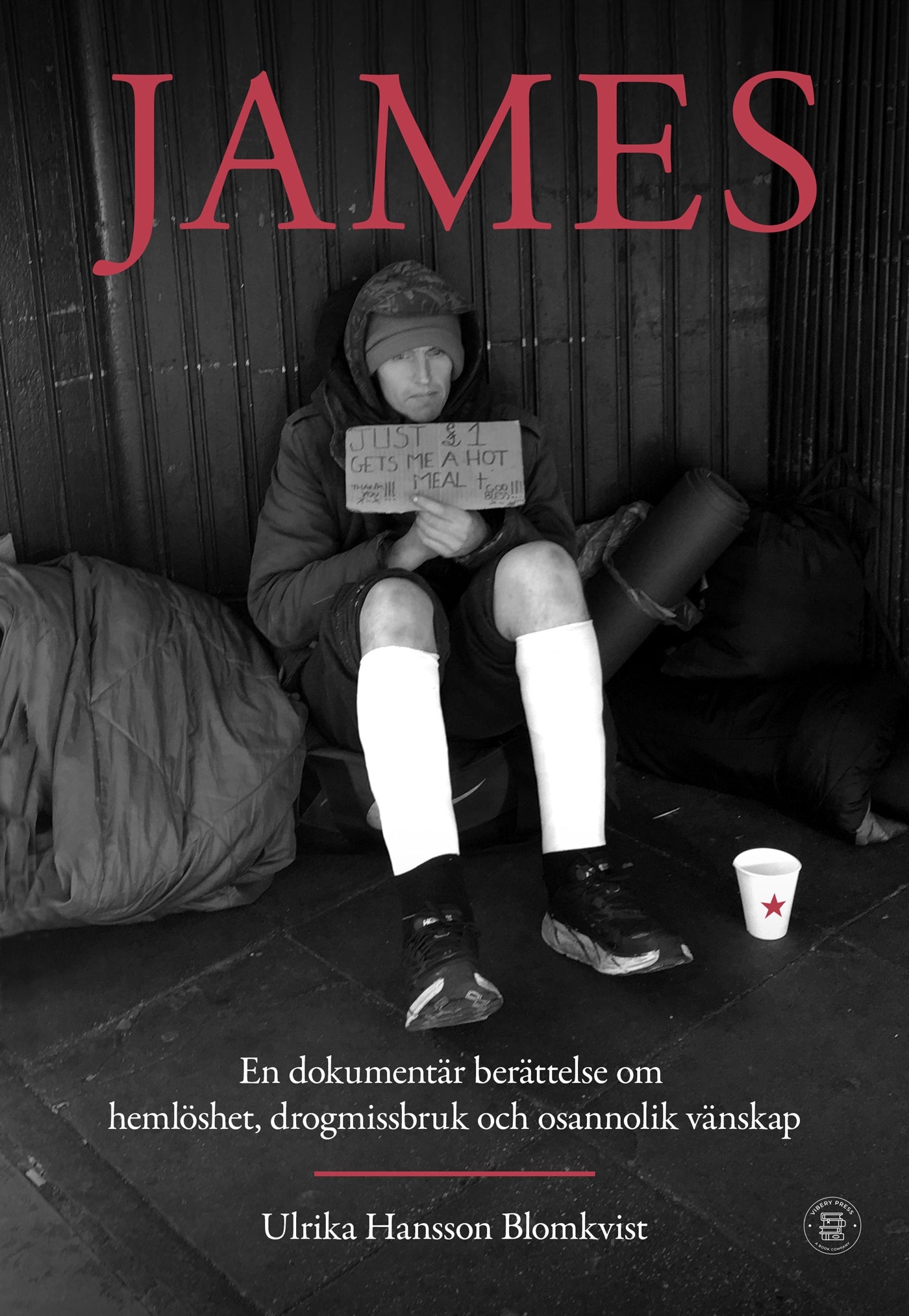 James: en dokumentär berättelse om hemlöshet, drogmissbruk och osannolik vänskap – E-bok