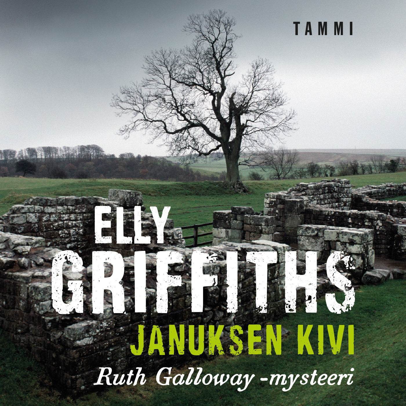 Januksen kivi – Ljudbok