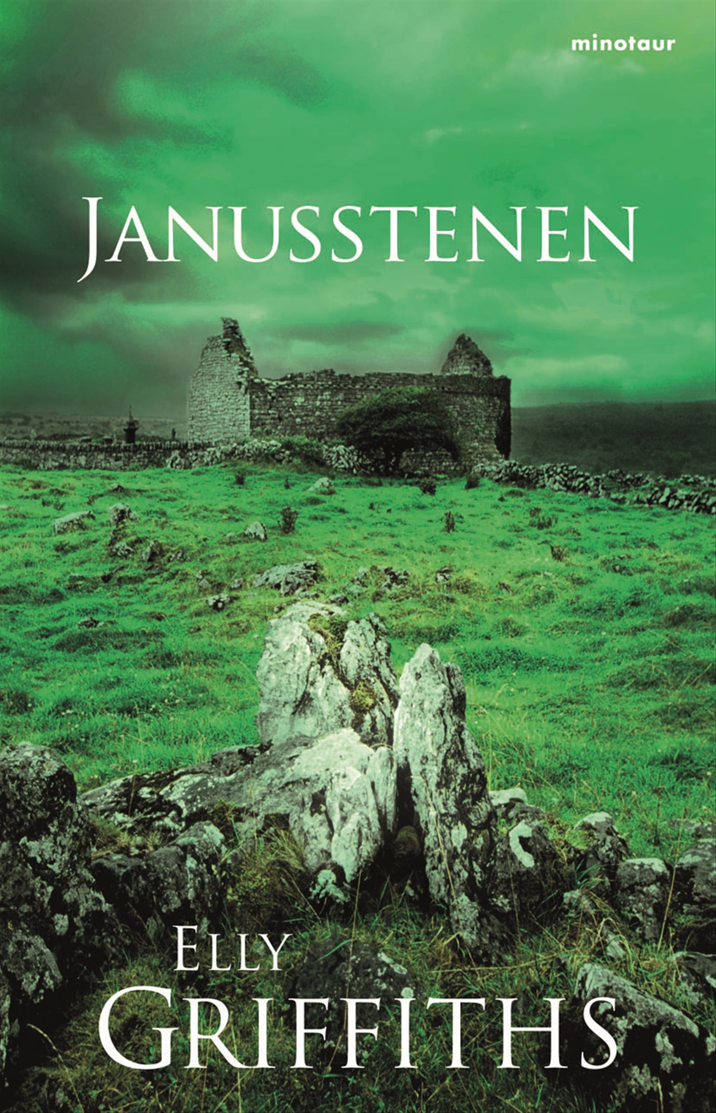 Janusstenen – E-bok