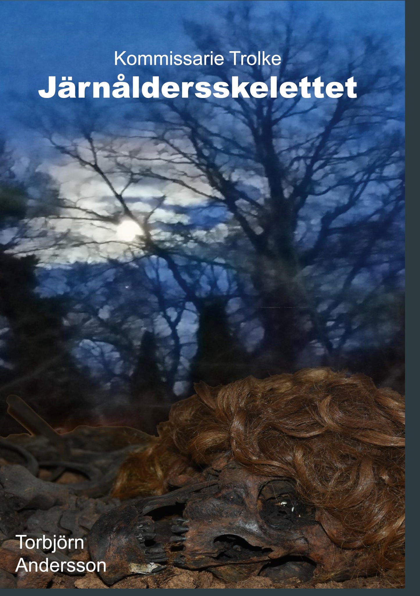 Järnåldersskelettet – E-bok