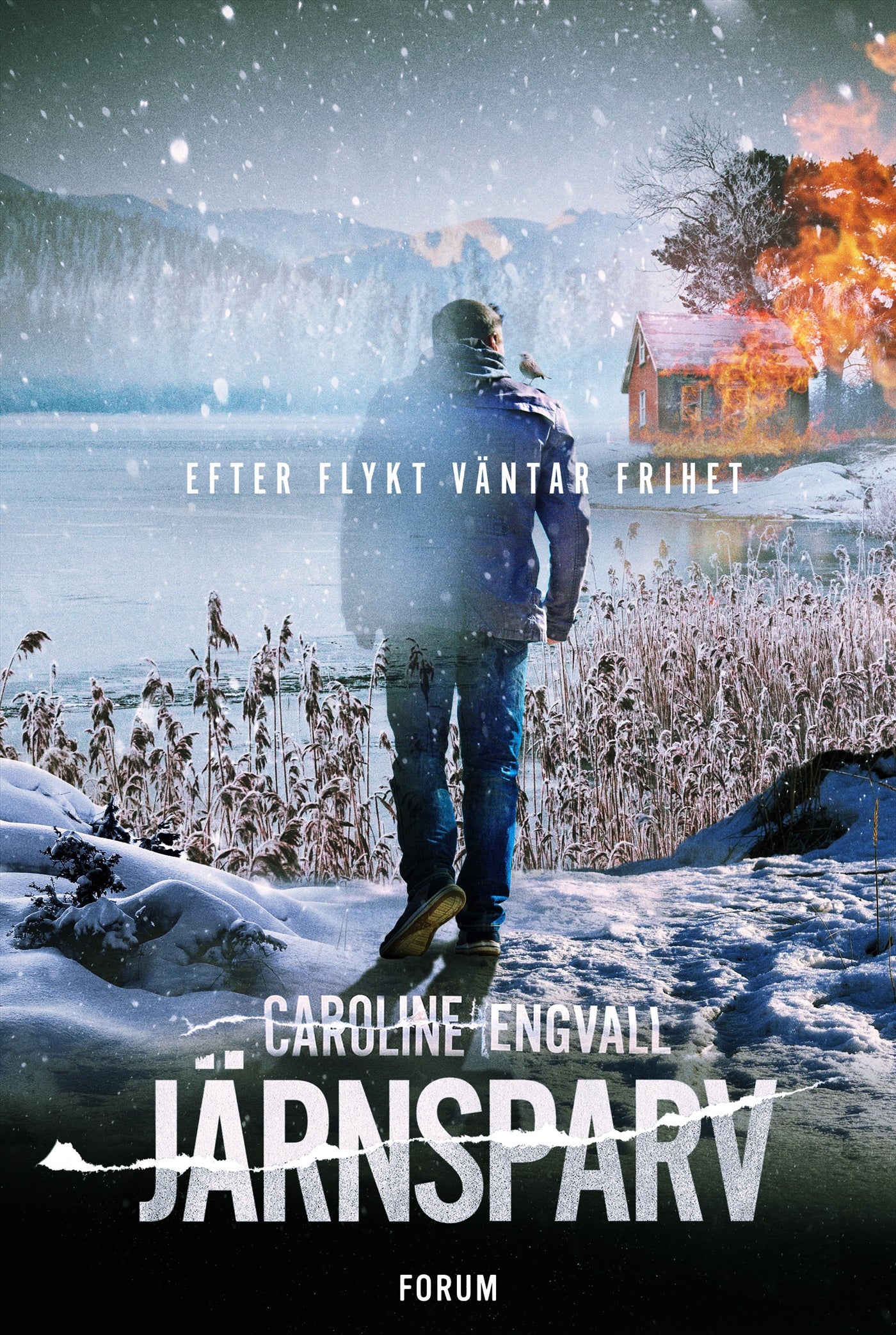 Järnsparv – E-bok